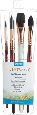 SET PROFESIONAL 4 PIEZAS - NEPTUNE PRINCETON - Imagen 4