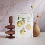 Prints by Jessi Ridi - Imagen 3