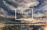 Set Carla Petrini 9 colores (Serie 3) – Poética do Habitar - Imagen 3