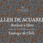 Taller de Acuarela | Botánica Libre - Chile