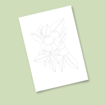 Plantillas Papel Bristol - Imagen 2
